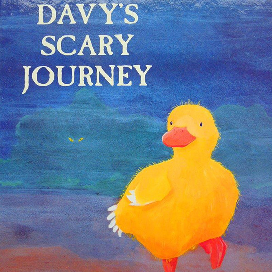 davys scary journey by christine leeson