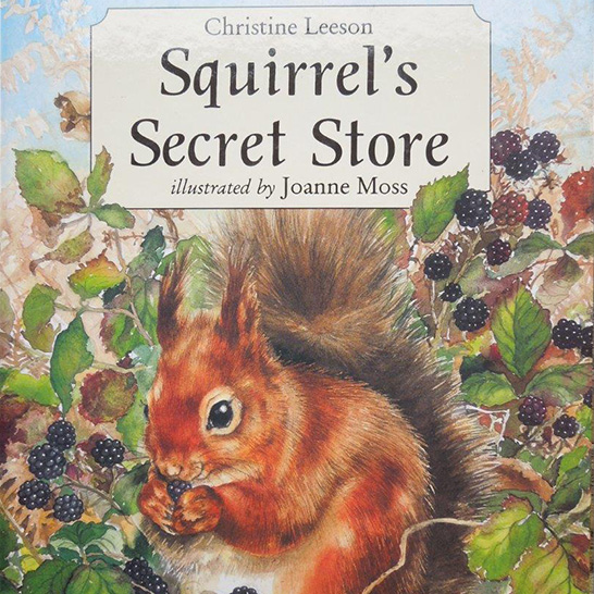 squirrels secret store by christine leeson