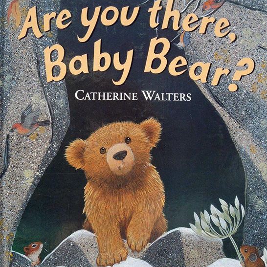 are you there baby bear