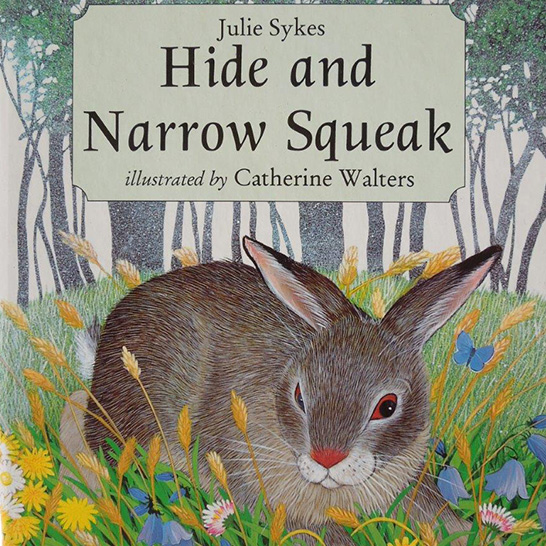 hide and narrow squeak