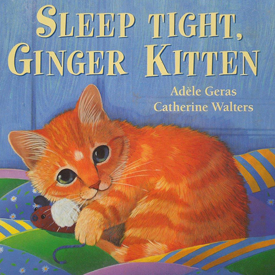 sleep tight ginger kitten