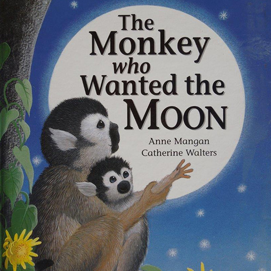 the monkey who wanted the moon